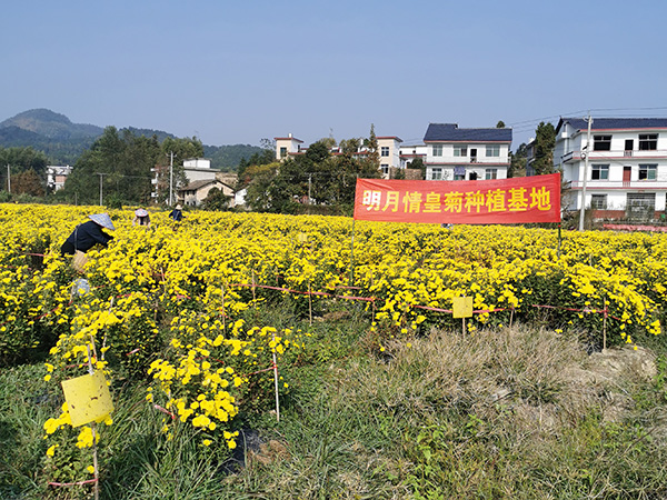 基地展示